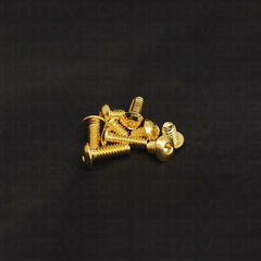 BB 24k GOLD PLATED SCREW SET By BILLI BILLI