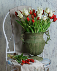 Тюльпаны в металлической вазе.