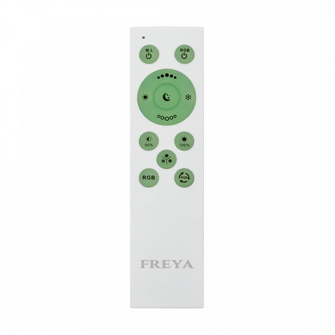 Потолочный светодиодный светильник FR10012CL-L24W