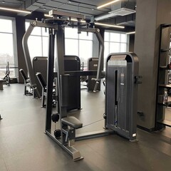 Баттерфляй - задние дельты (Pearl Delt/Pec Fly) DHZ E-5007. Стек 109 кг