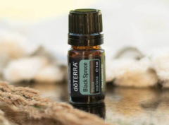 Эфирное масло doTERRA Черная Ель / Picea mariana 5 мл