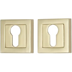 Накладки под цилиндр Bravo A/Z-2CL G Золото