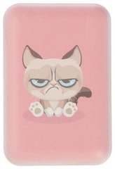 Внешний аккумулятор Ritmix RPB-10007 Grumpy Cat 10000 mAh