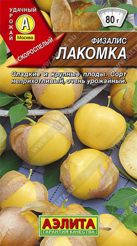 Физалис Лакомка Аэлита