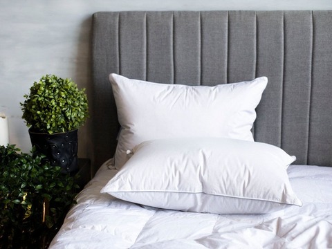 Подушка пуховая 50x68 German Grass Gray Familie Down мягкая