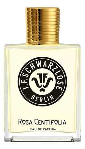 Rosa Centifolia