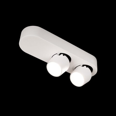 Потолочный светодиодный светильник Loft It Quiet 10320/2 White