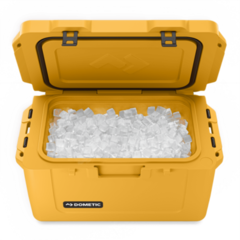 Термоконтейнер Dometic Patrol 20 Mango (изотермический, 19л)