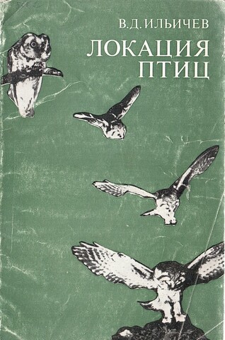 Локация птиц