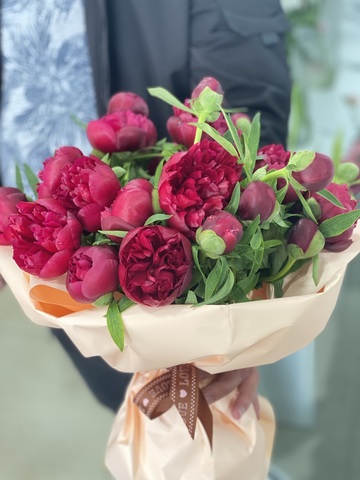 ბორდოსფერი  პიონის  თაიგული