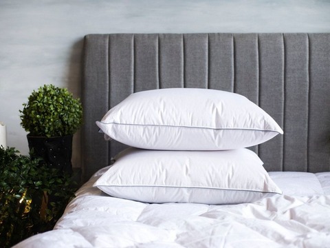 Подушка пуховая 50x68 German Grass Gray Familie Down мягкая