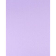 Бумага цветная для офиса А4, 20л., Пастель "Сиреневый", Alingar, 70г/м2, пленка т/у
