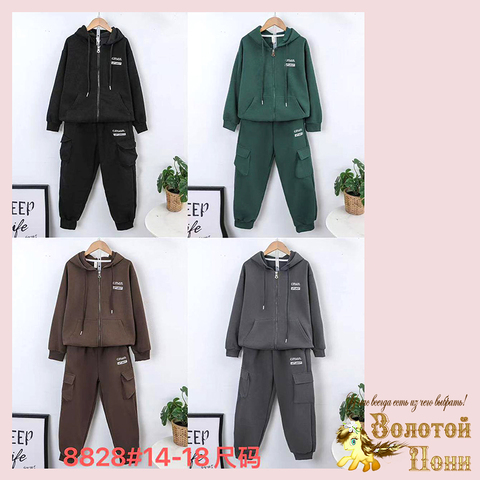 Костюм хлопок м (5-9) 260119-SL6083