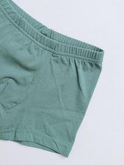 010_НБ24 Боксеры (трусы) д/м, хаки