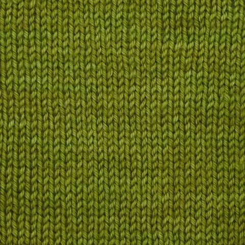 Symfonie Terra SS2021