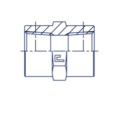 Соединение PS BSPT 1" BSPT 1" CAST