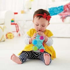 Fisher Price Веселые зверята (в ассортименте лев, зебра, слон) (CGG86)