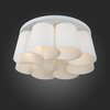 Люстра потолочная ST Luce Chiello SL543.502.08