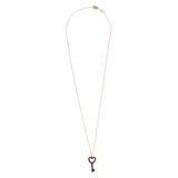 Pesavento WPLVE2395-1