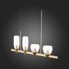 Светильник подвесной ST Luce Teneresa SL1119.203.04