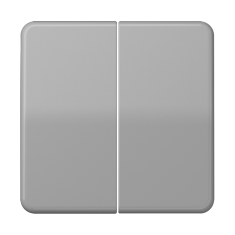 Выключатель двухклавишный. 10 A / 250 B ~.. Цвет Серый. JUNG CD. 505U+CD595GR