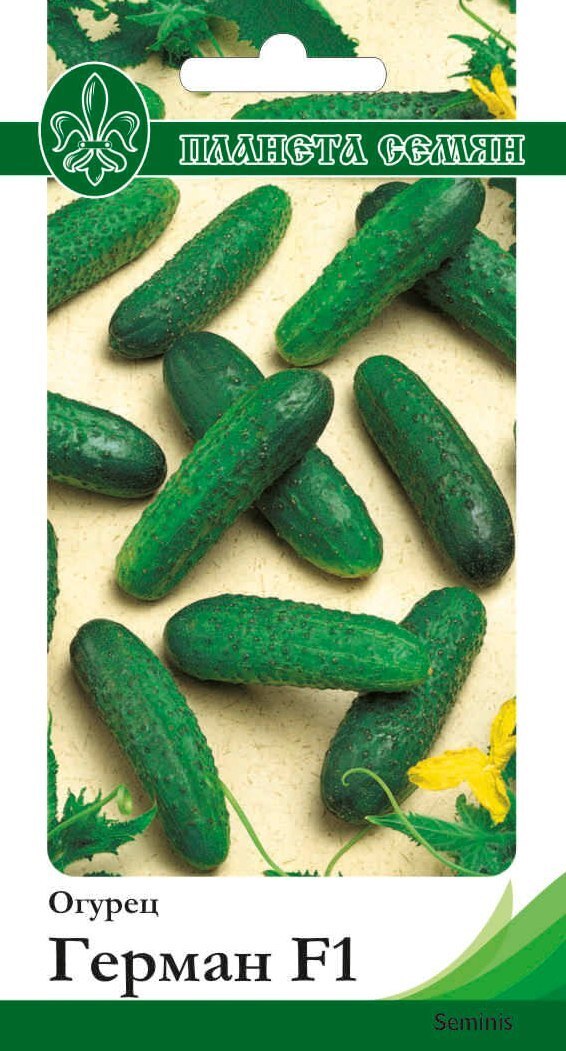 Семена огурцов кураж f1. Сорт огурцов кибрия f1. Огурцы гавриш f1. Огурцы семена f1 отзывы. Семена огурцов кураж f1.