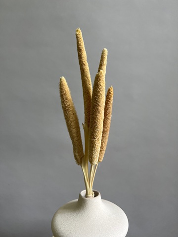 Африканское просо выбеленное