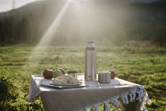 Термос Esbit MAJORIS VF500TL-S, из нержавеющей стали с двойной крышкой, стальной, 0.5 л