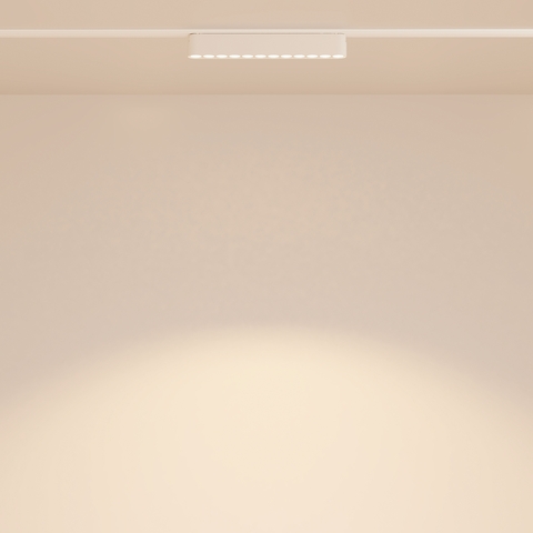 Магнитный трековый светильник Maytoni Points TR082-1-12W3K-M-W