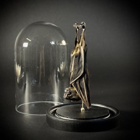 Летучая мышь в клоше