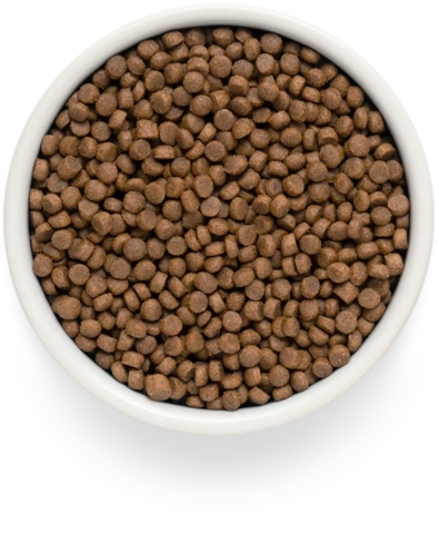 PREMIER Свежее мясо индейки для взрослых кошек