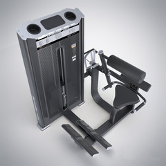 Разгибание спины (Back Extension) DHZ E-7031A. Стек 110 кг