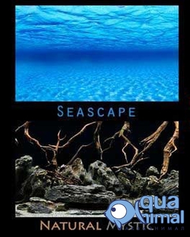 Фон двусторонний (пленка) Seascape/Natural Mystic 30см/15м