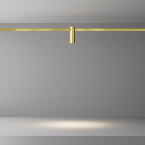 Магнитный трековый светильник Maytoni Focus Led TR143-1-5W3K-W-BS