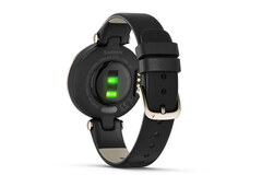 Garmin Lily Classic Cream Gold-Black
