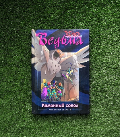 Книга Ведьма. Расколотая сфера - 1. Каменный сокол