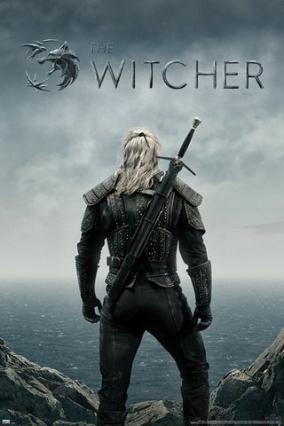 Постер The Witcher (Netflix) 348-FP4983