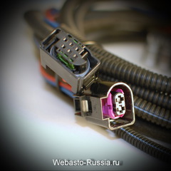 Проводка Webasto TT EVO-2