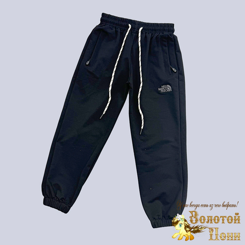 Брюки спортивные м (5-9) 250109-RT1042