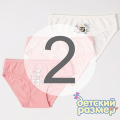 2 (3-4 года)