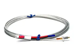 OMRON E52-CA1DY M6 1M