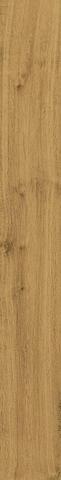 Atlas Concorde Heartwood Malt 18.5x250