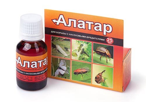 АЛАТАР ВХ двойная мощь 25 мл (ИП)