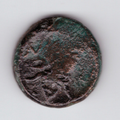 Пантикапей. Лепта. Перисад II, 283-245 гг до н. э. Аверс: Голова бородатого сатира влево. Реверс: Голова быка, повернутая на 3/4 влево по сторонам ПАN.