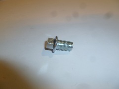 Пробка сливная PGS/PGHP50/80/Draining plug