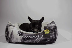 Royal pet лежанка Элегант меховой борт 