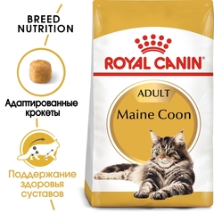 Royal Canin Maine Coon сухой корм для кошек породы Мейн Кун 4кг