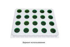 Рассадно-Салатная кассета 530*400мм, 20 ячеек