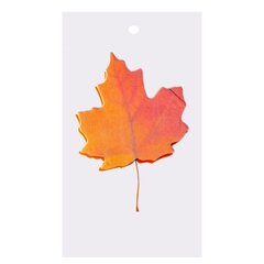 
          Флажки-закладки с клеевым краем, Alingar, "Листочки", в уп. 12 наборов по 20 л., 58 мм*49 мм, ассорти, европодвес