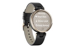 Garmin Lily Classic Cream Gold-Black